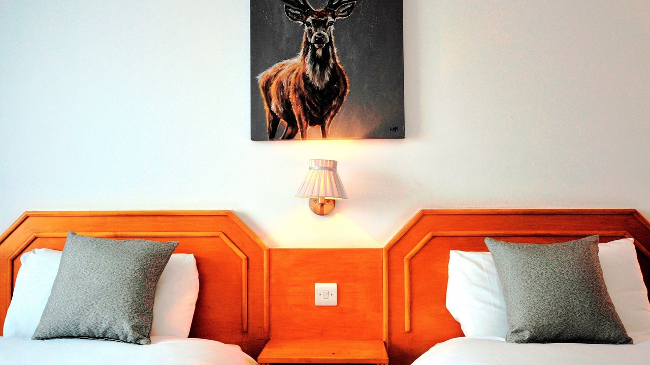 Photo of Others in Hamilton