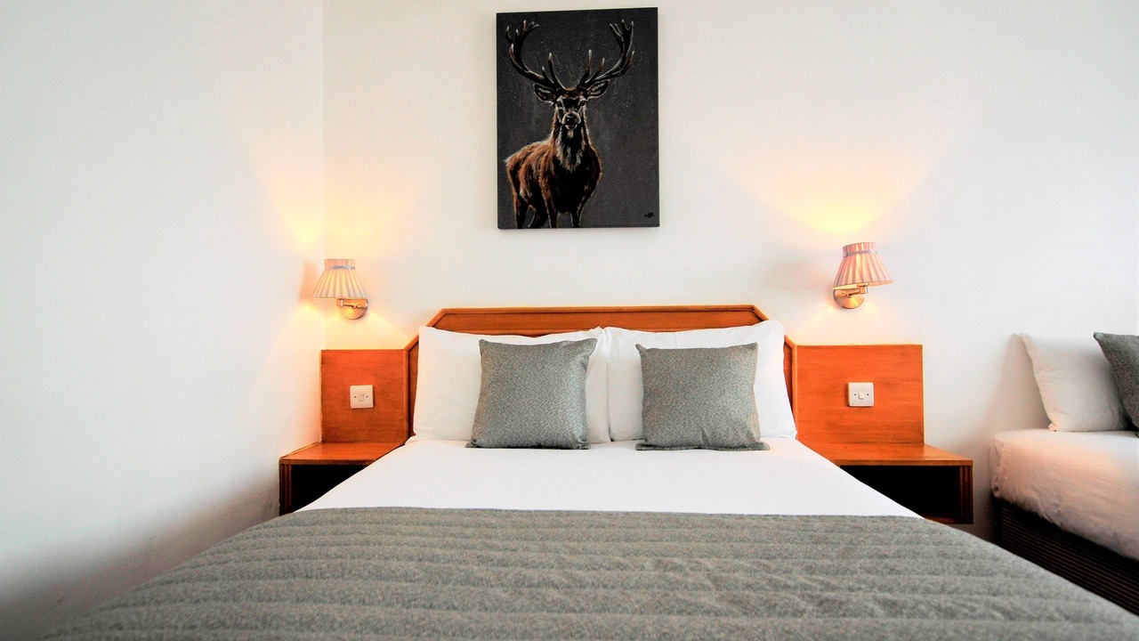 Photo of Others in Hamilton