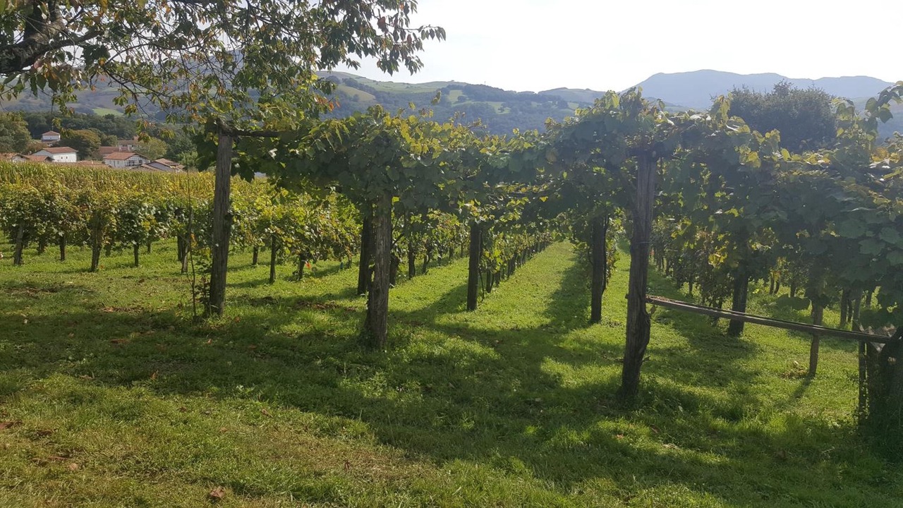 Photo of Outdoor in Cambo-les-Bains