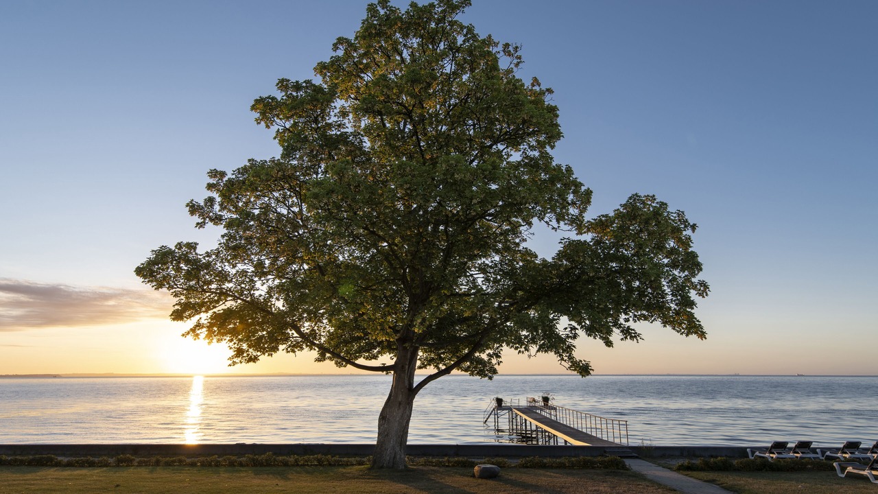 Photo of Outdoor in Skodsborg