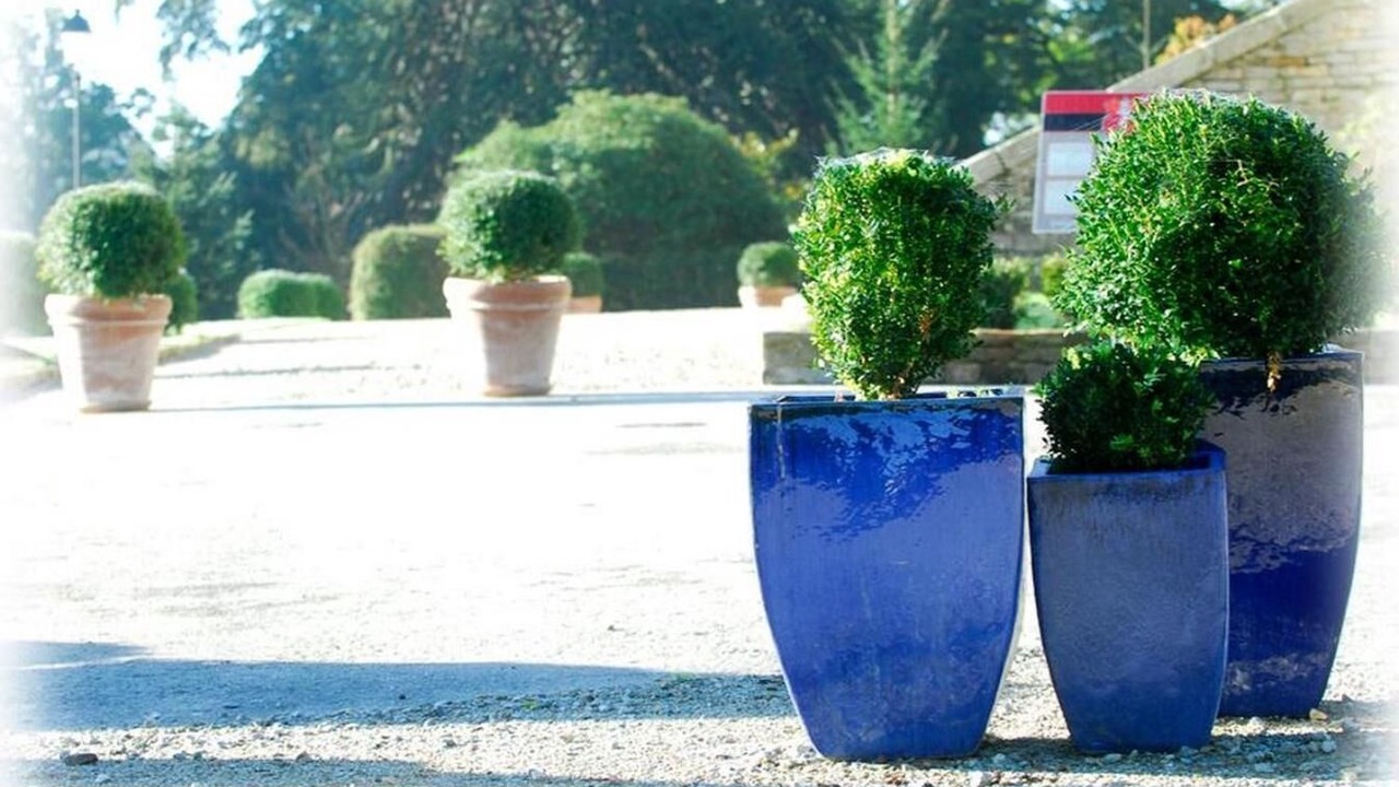 Photo of Outdoor in Buleon