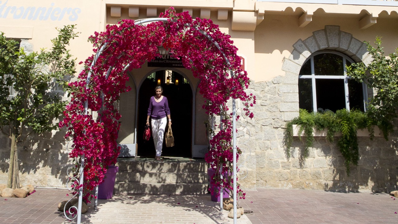 Photo of Outdoor in Collioure