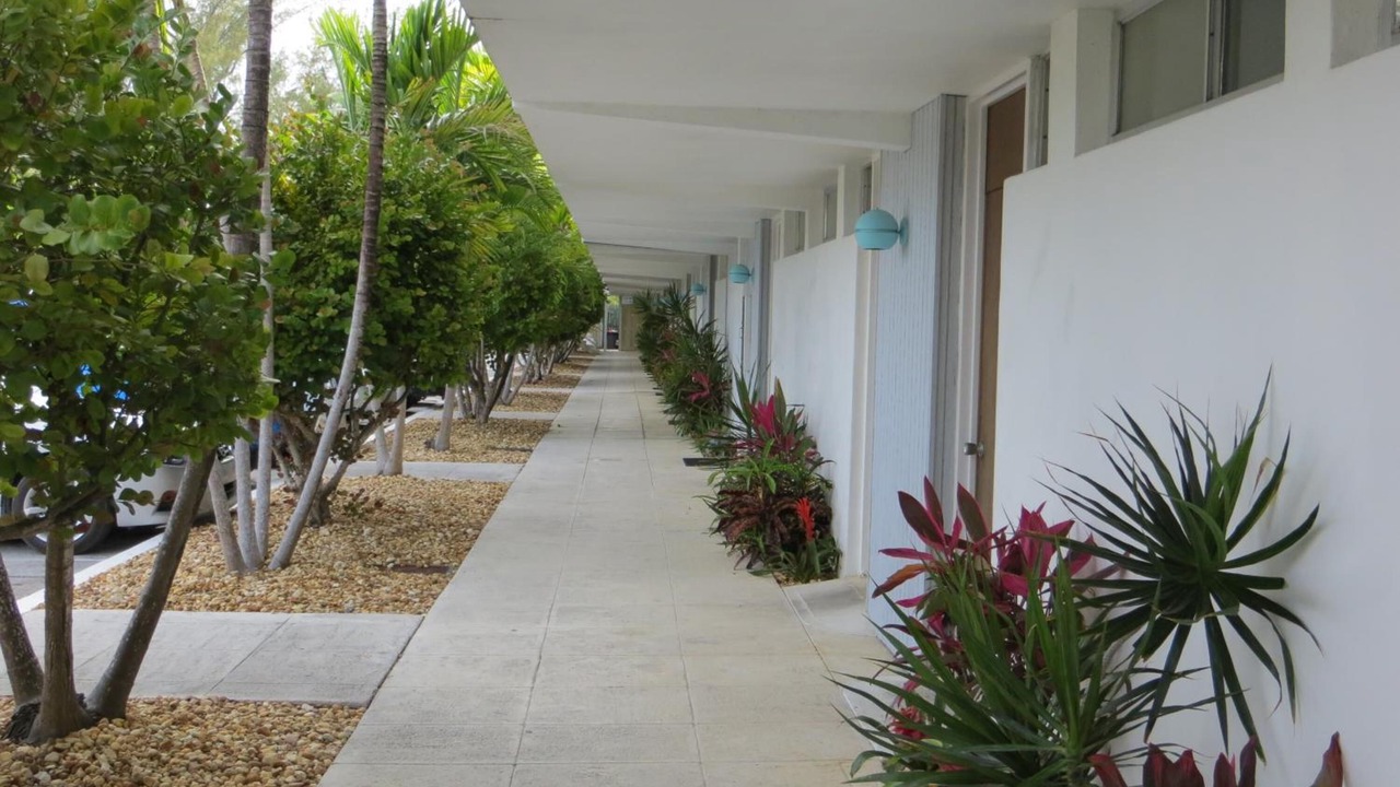 Photo of Outdoor in Sugarloaf Key