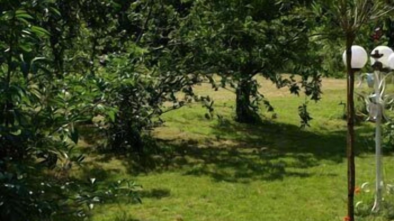 Photo of Outdoor in Carrieres-sous-Poissy