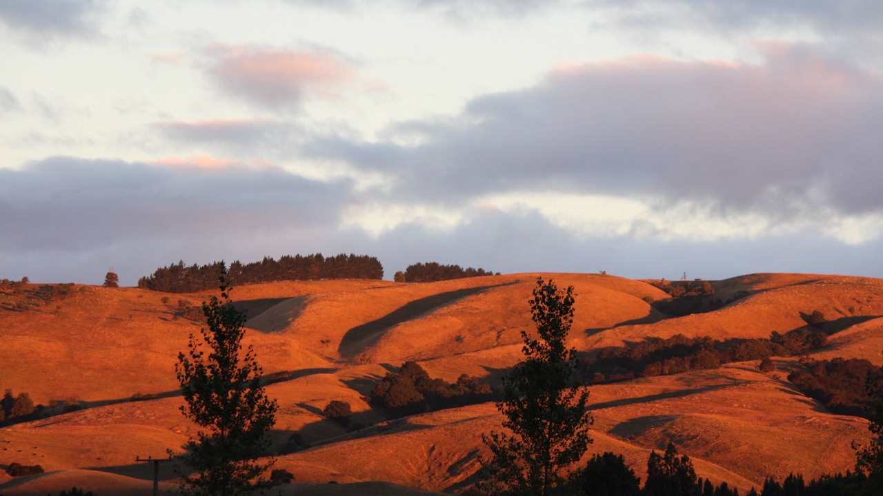 Photo of Others in Gladstone