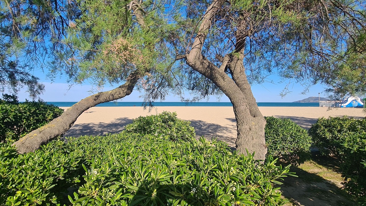 Photo of Outdoor in Argeles Plage