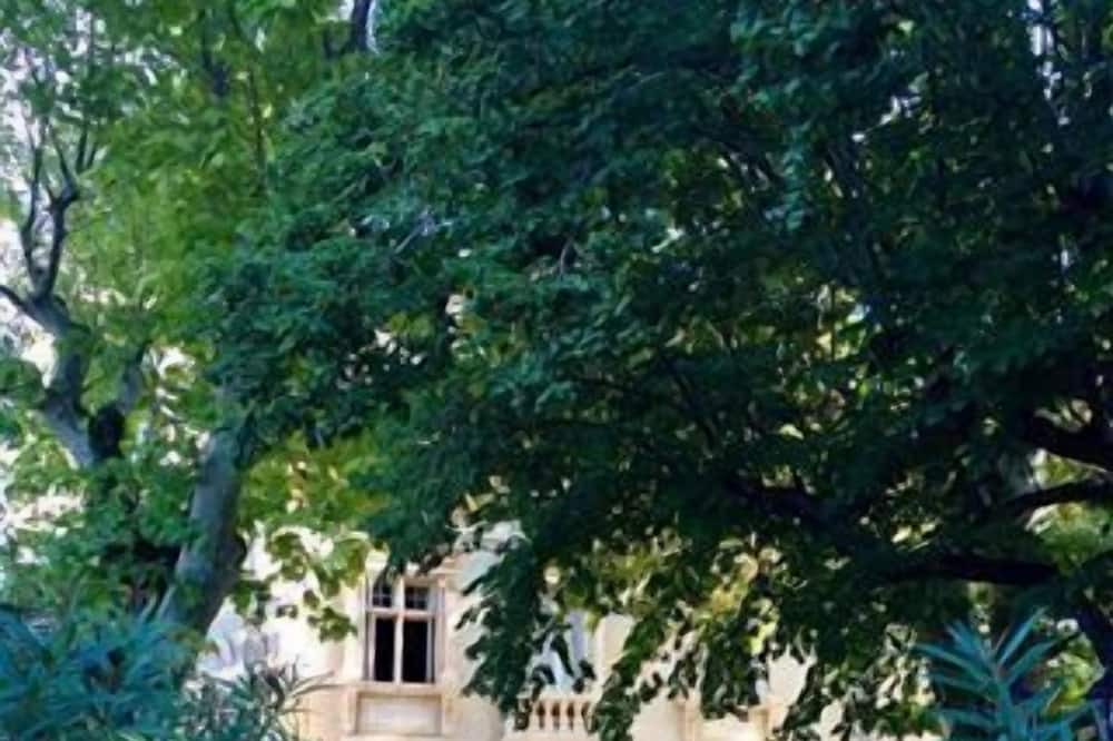 Photo of Outdoor in Violes