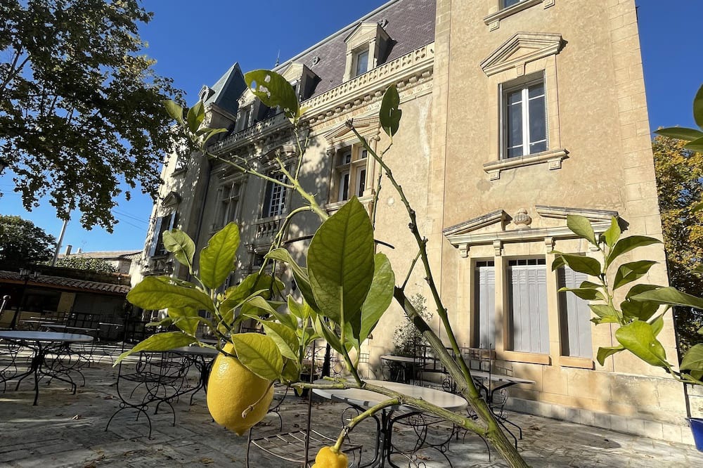 Photo of Outdoor in Violes