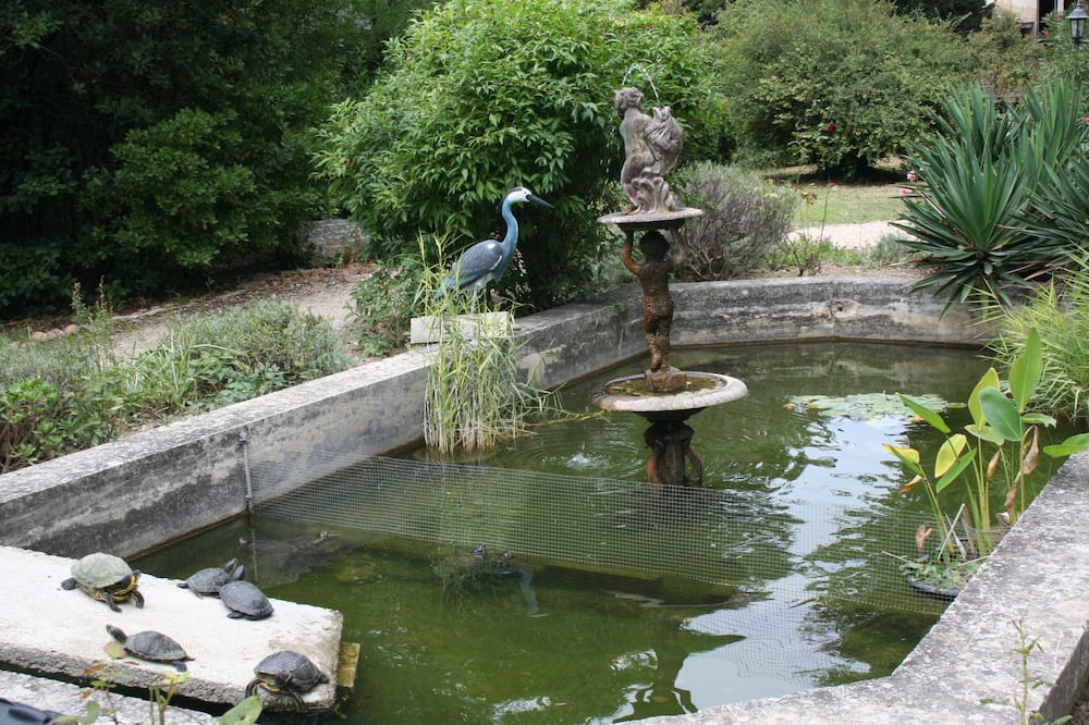 Photo of Outdoor in Violes