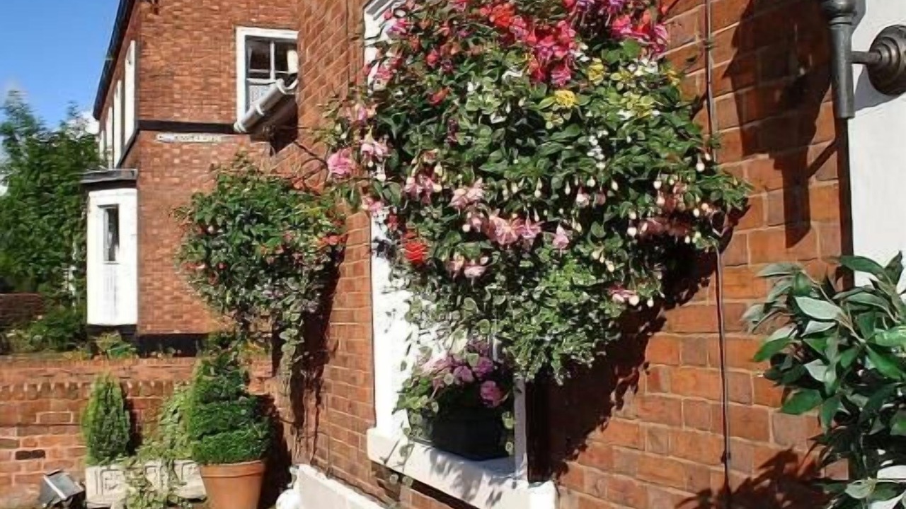 Photo of Outdoor in Hoole