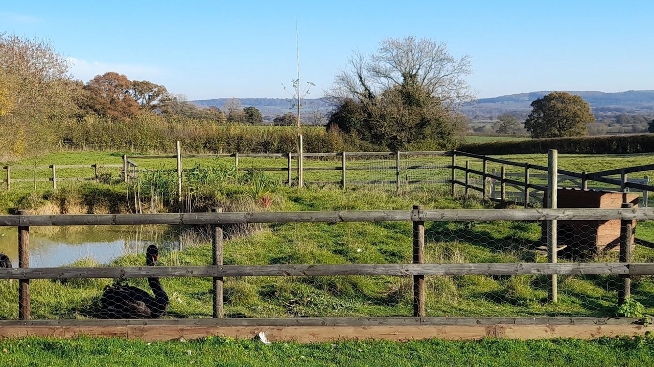 Photo of Outdoor in Trudoxhill