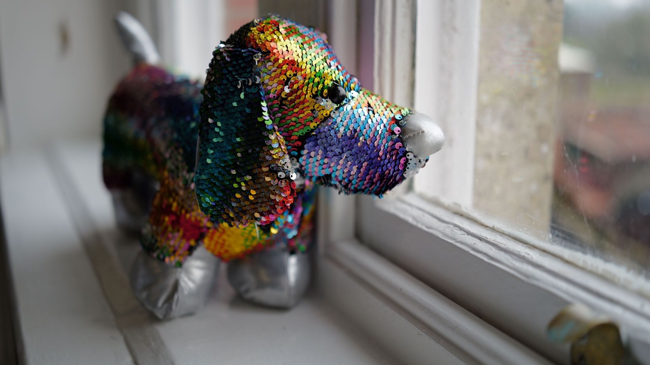 Photo of Outdoor in Trudoxhill