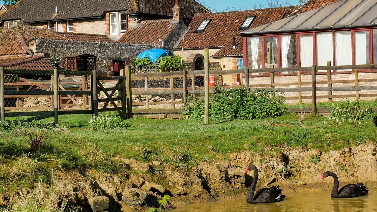 Photo of Outdoor in Trudoxhill