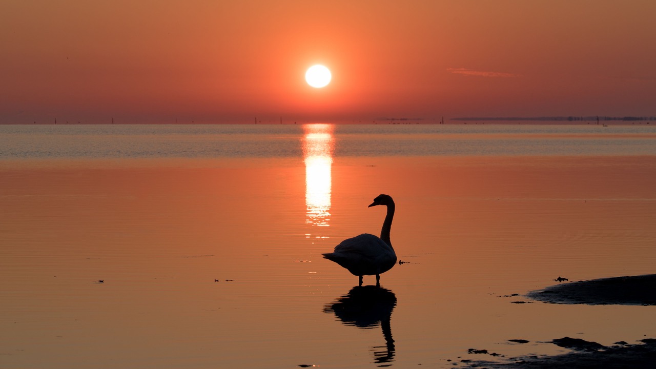 Photo of Others in Bandholm