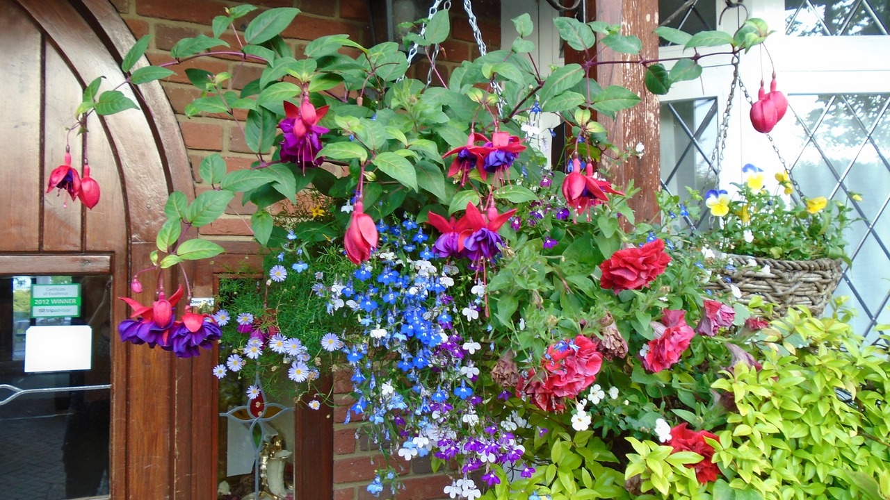 Photo of Others in Charlwood