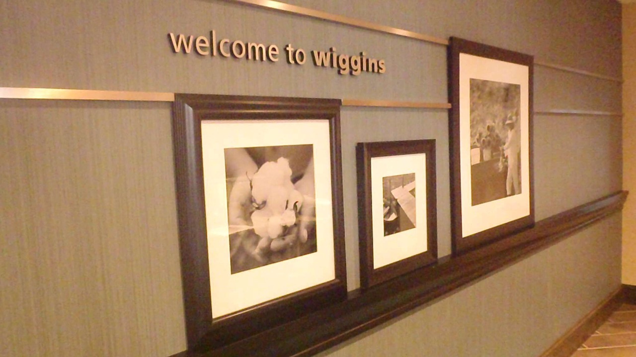 Photo of Outdoor in Wiggins