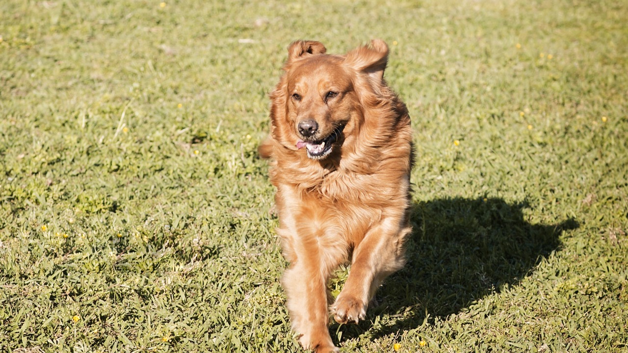 Photo of Others in Jasper