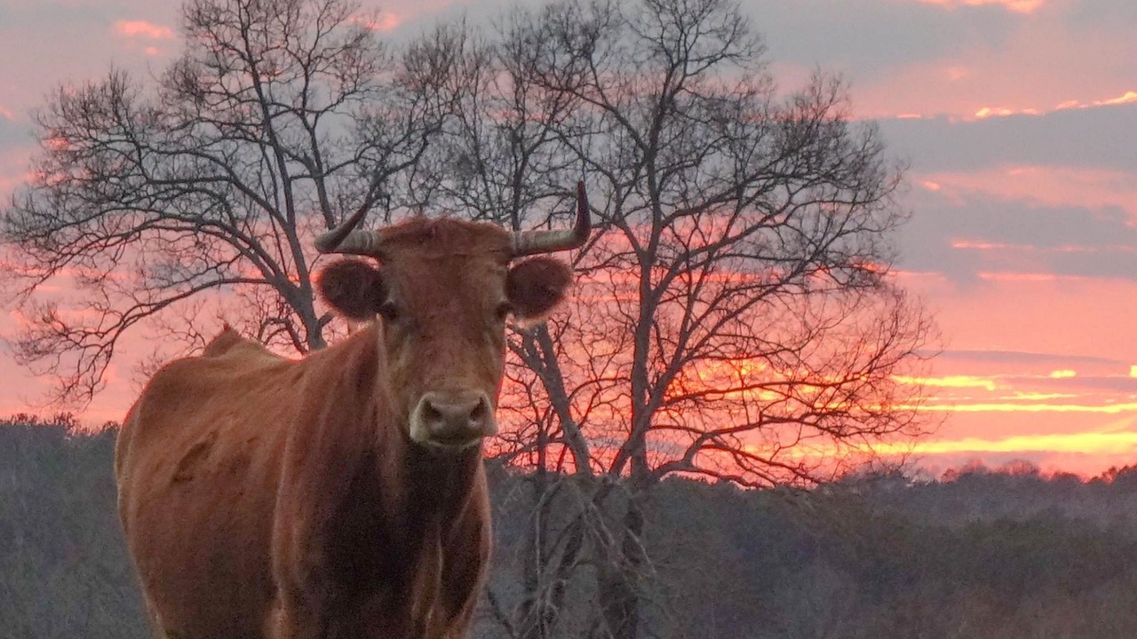 Photo of Others in Jasper