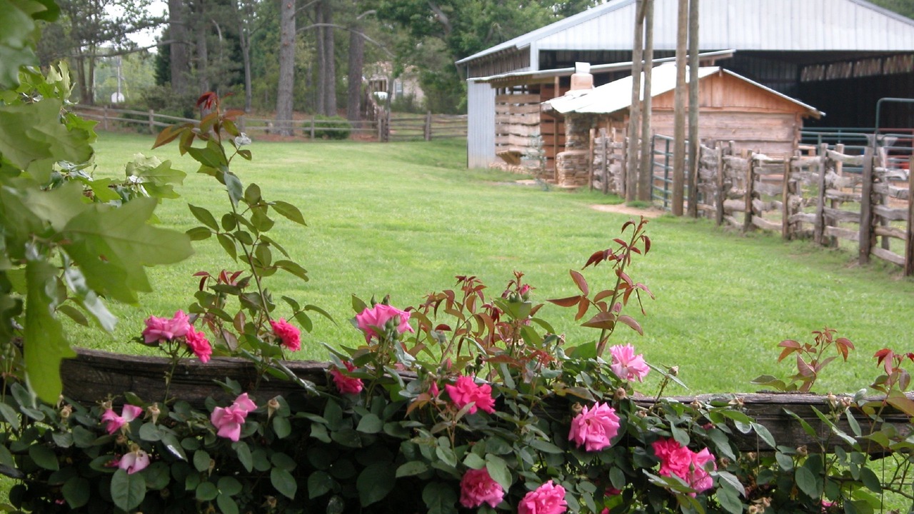 Photo of Outdoor in Jasper
