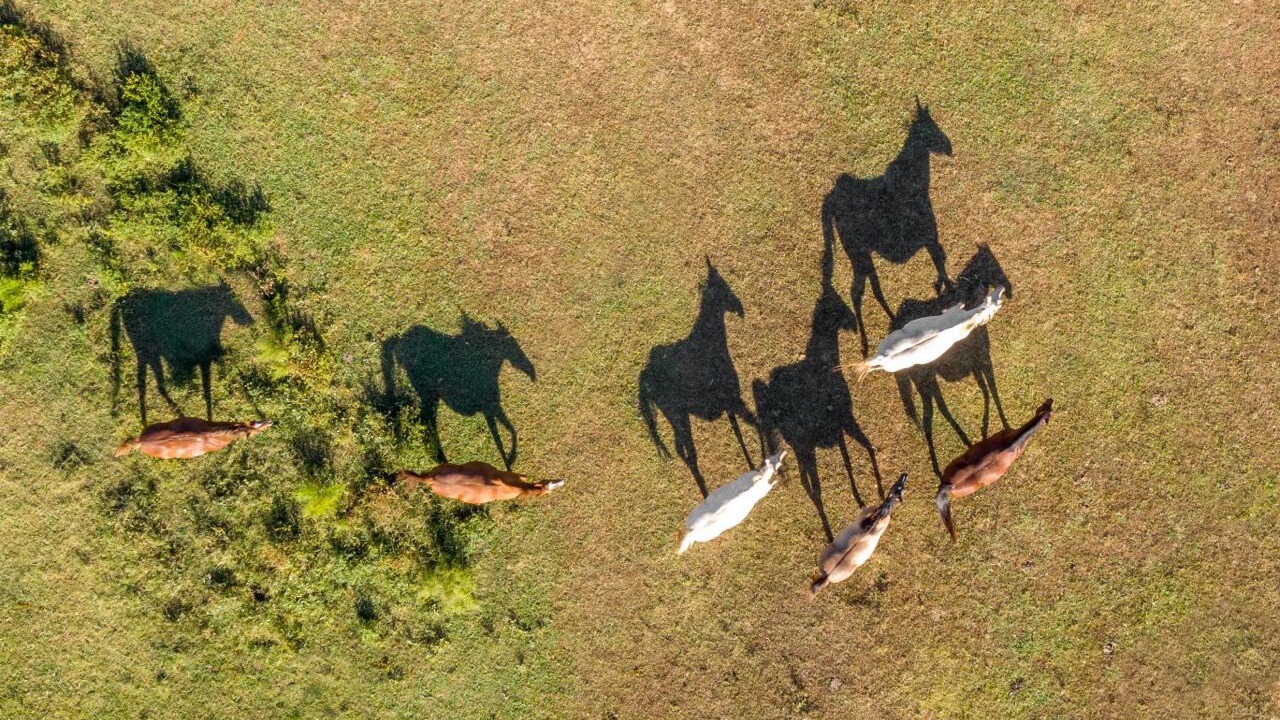 Photo of Others in Jasper