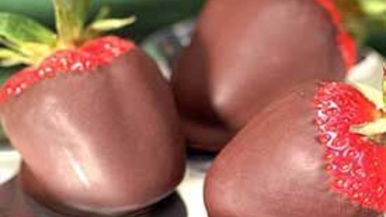 Photo of Others in Jasper