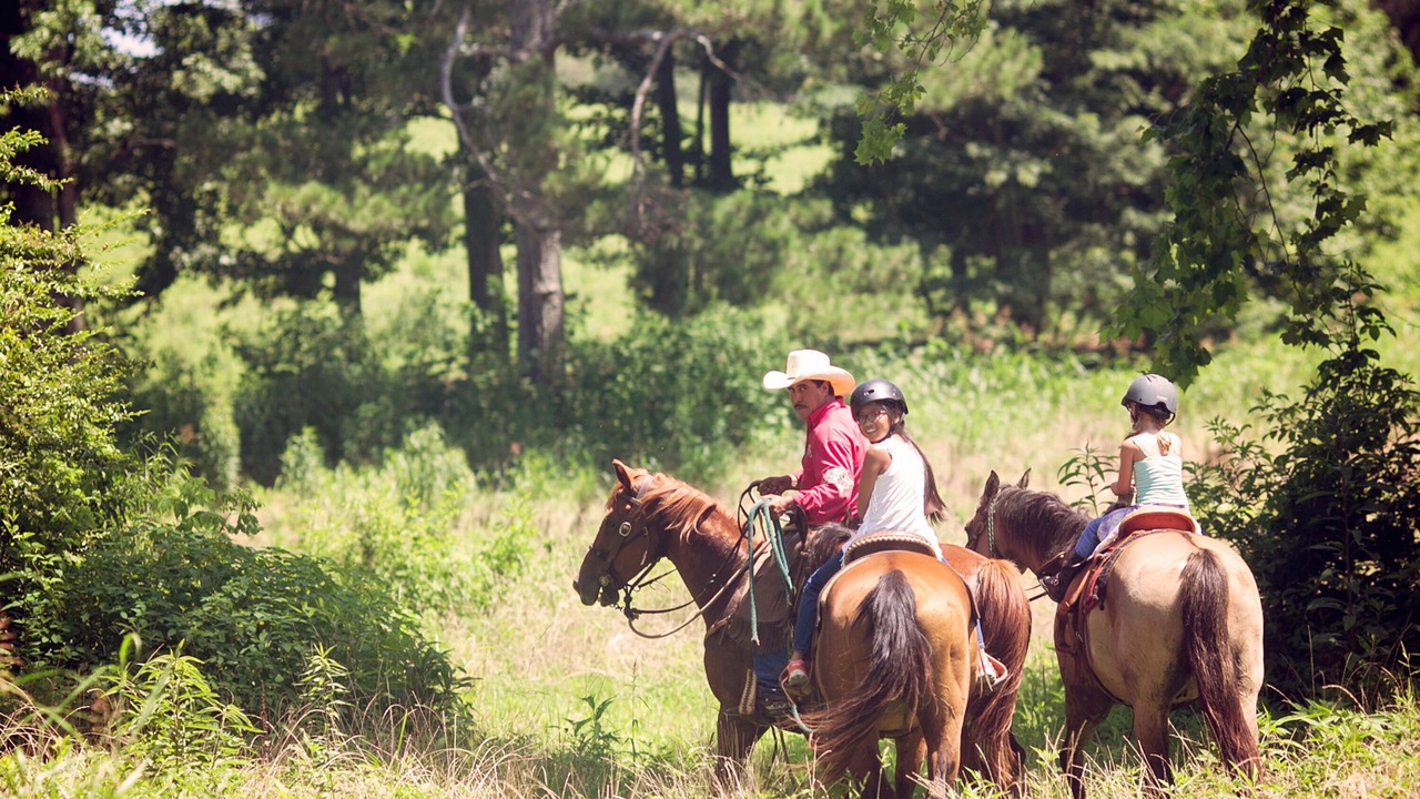 Photo of Others in Jasper
