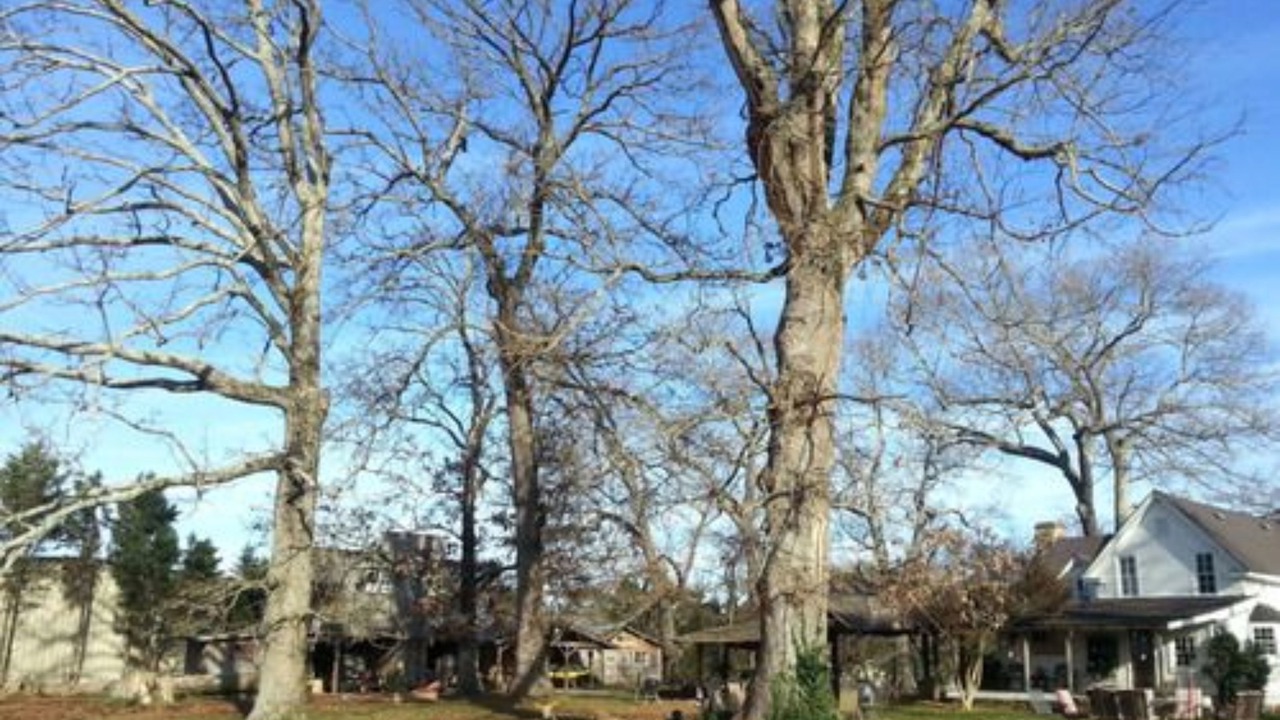 Photo of Outdoor in Jasper