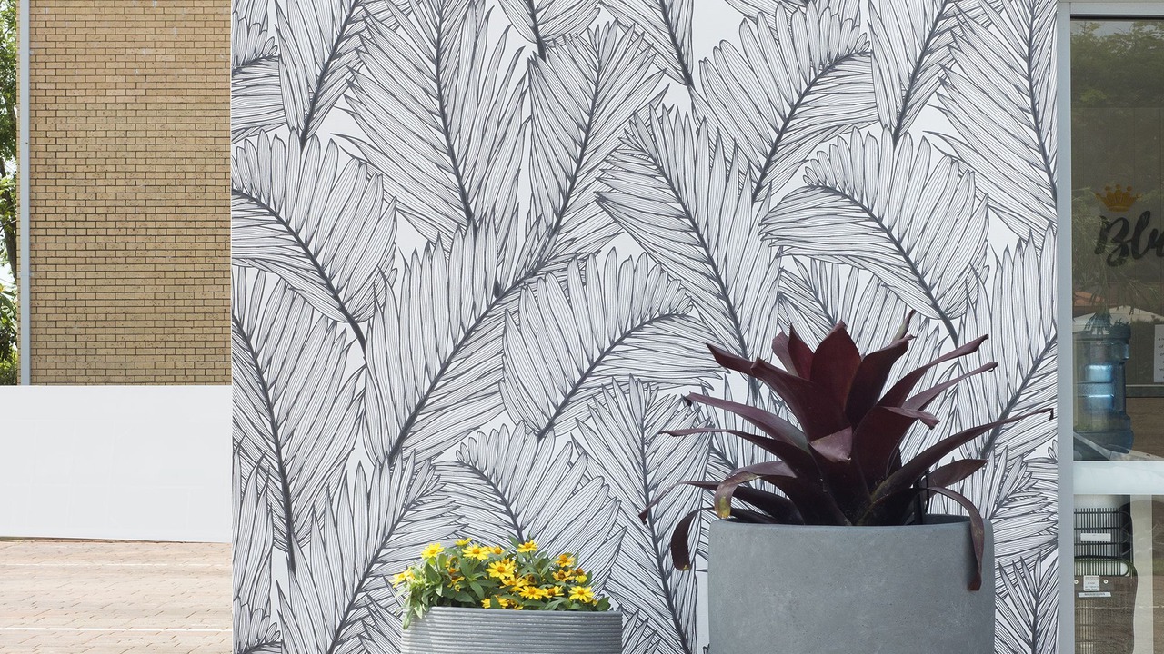 Photo of Others in Mermaid Beach