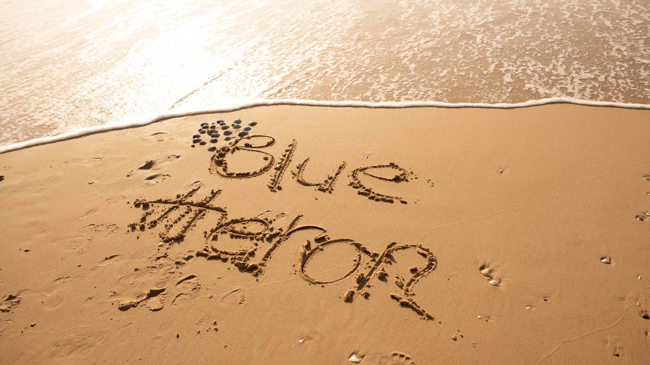 Photo of Others in Mermaid Beach