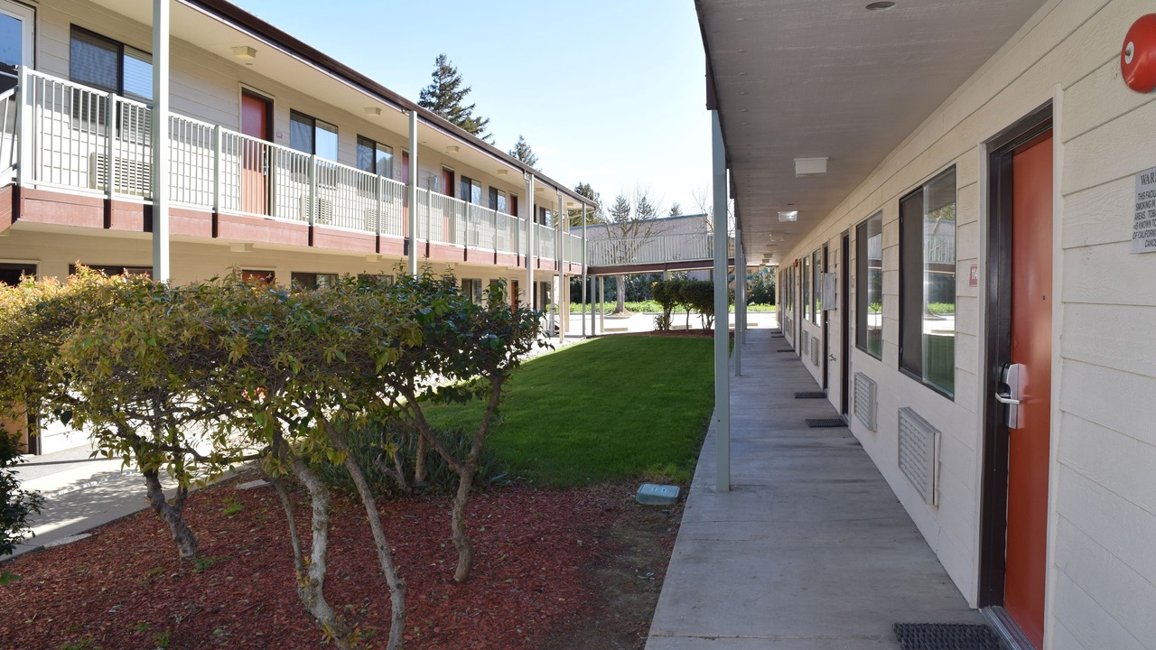 Photo of Outdoor in Woodland