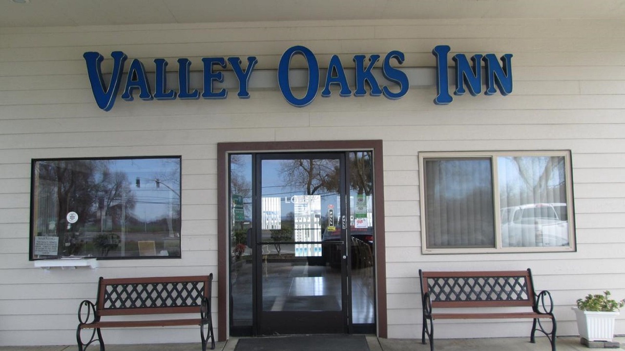 Photo of Outdoor in Woodland