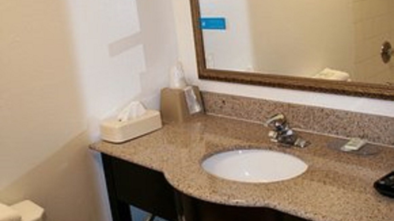 Photo of Others in Woodland