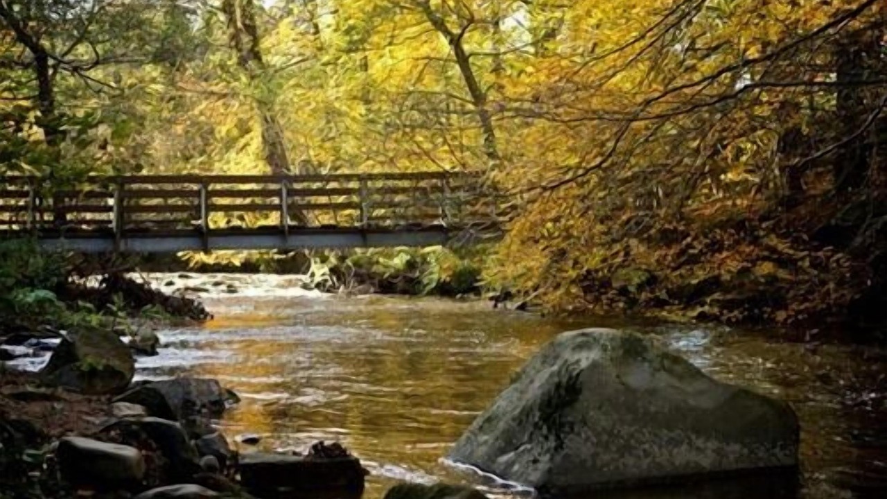 Photo of Outdoor in Newbattle