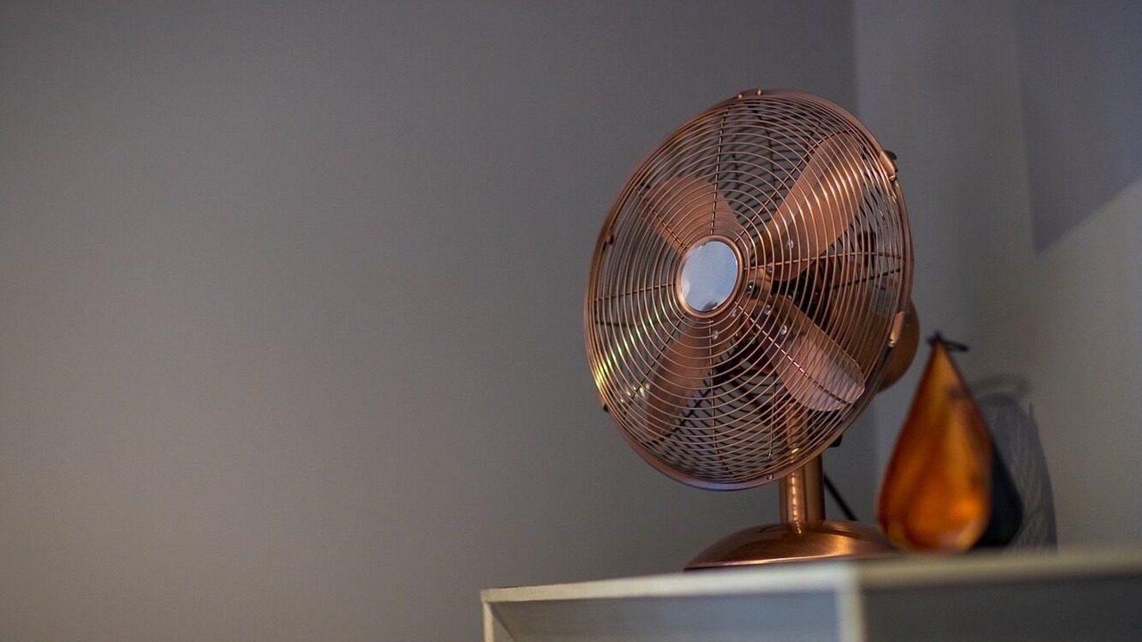 Photo of Others in Newbattle