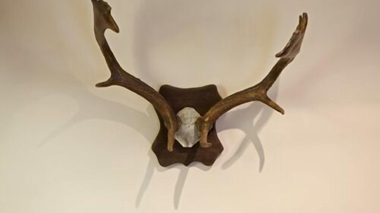 Photo of Others in Newbattle