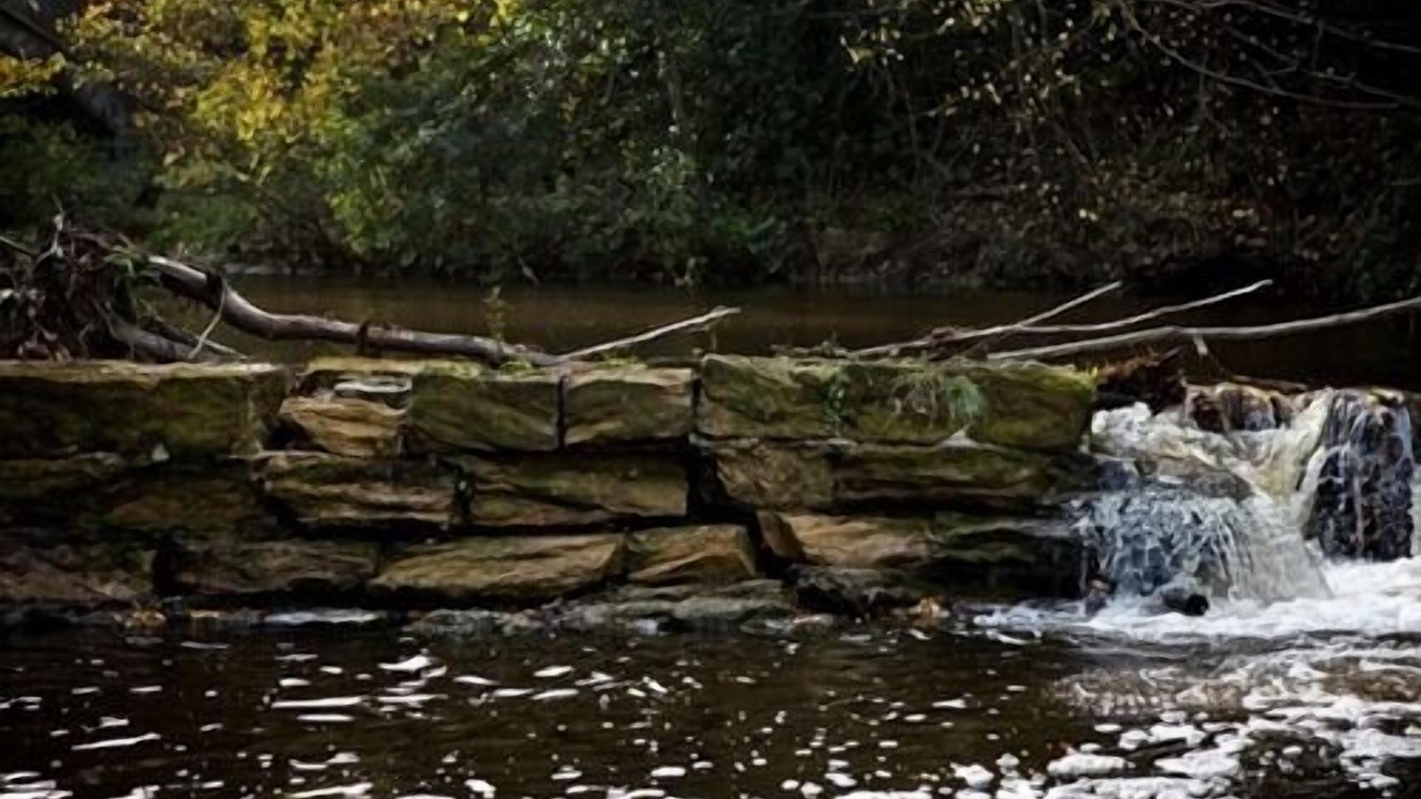 Photo of Outdoor in Newbattle