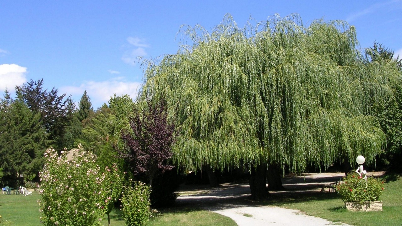 Photo of Outdoor in La Freissinouse