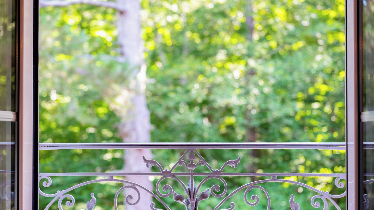 Photo of Others in Vizzavone