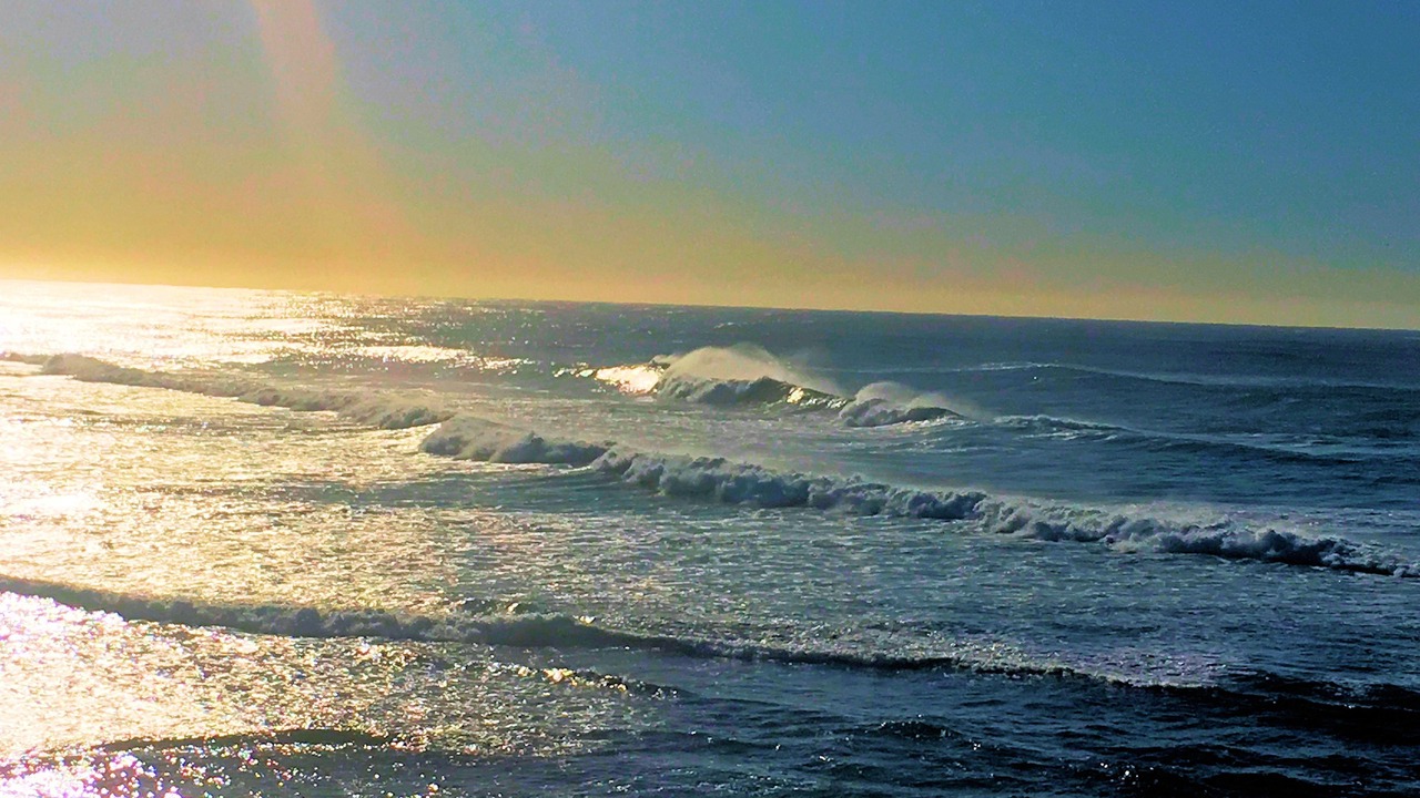 Photo of Others in Blue Bay