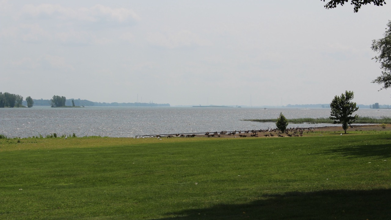 Photo of Others in Repentigny