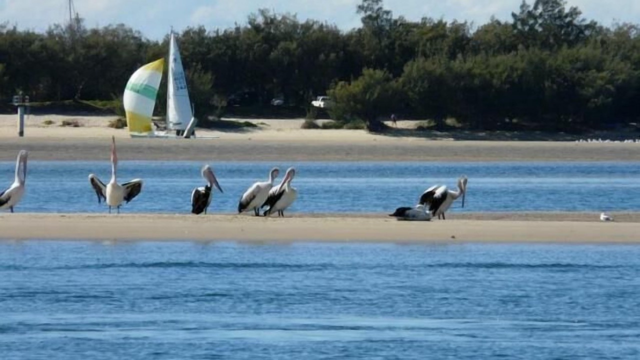 Photo of Others in Labrador