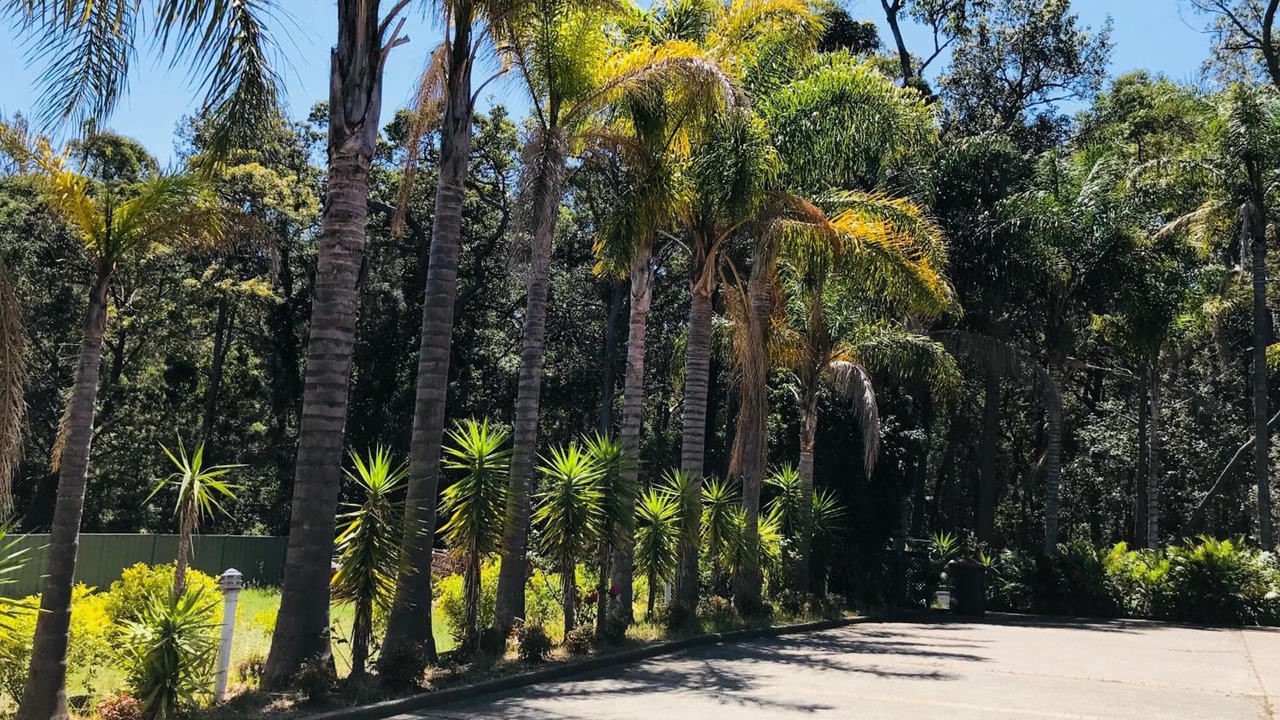 Photo of Outdoor in Mollymook