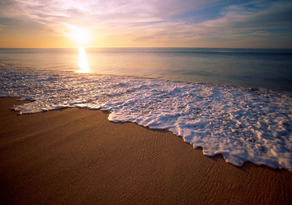 Photo of Others in Mollymook