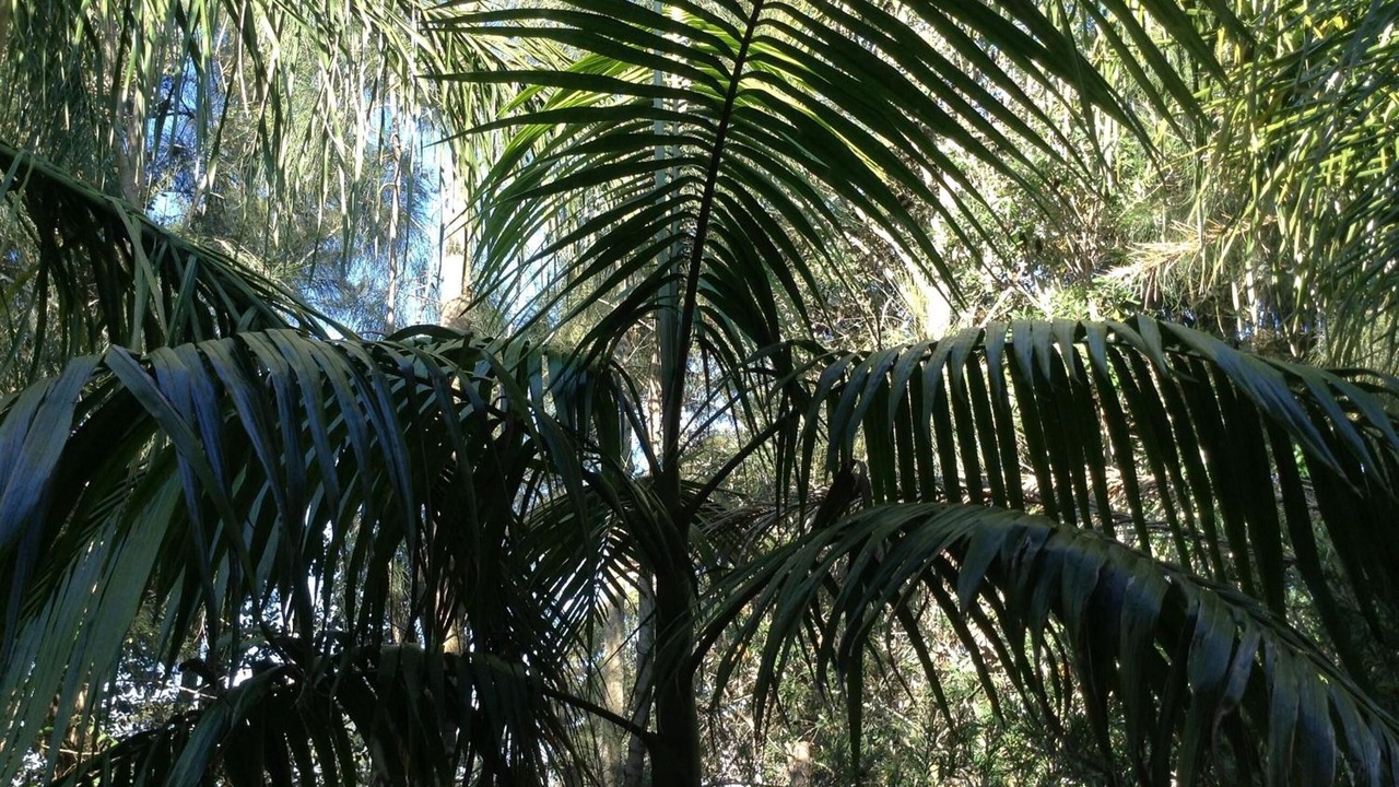 Photo of Outdoor in Mollymook