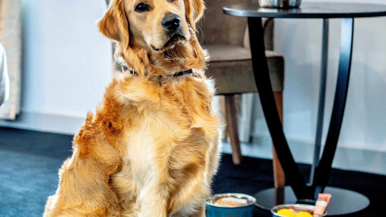 Photo of Bedroom in Stirling