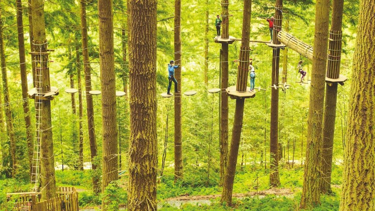 Photo of Others in Peebles