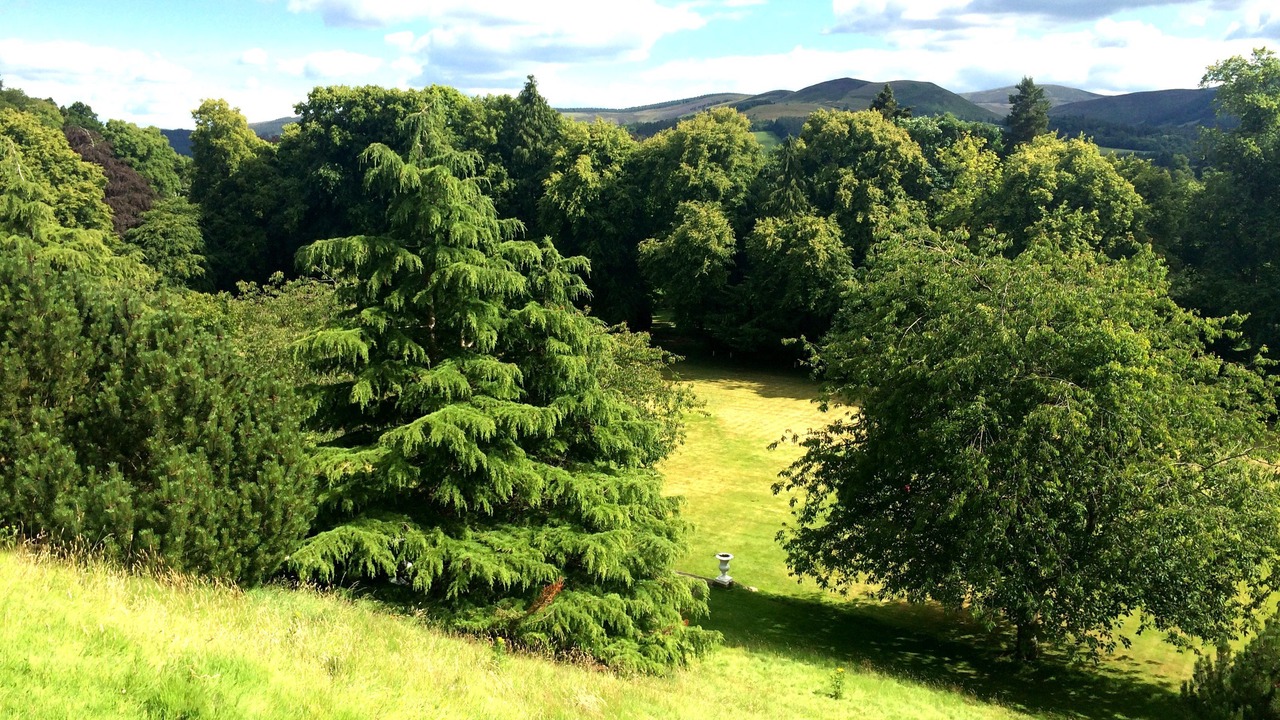 Photo of Outdoor in Peebles
