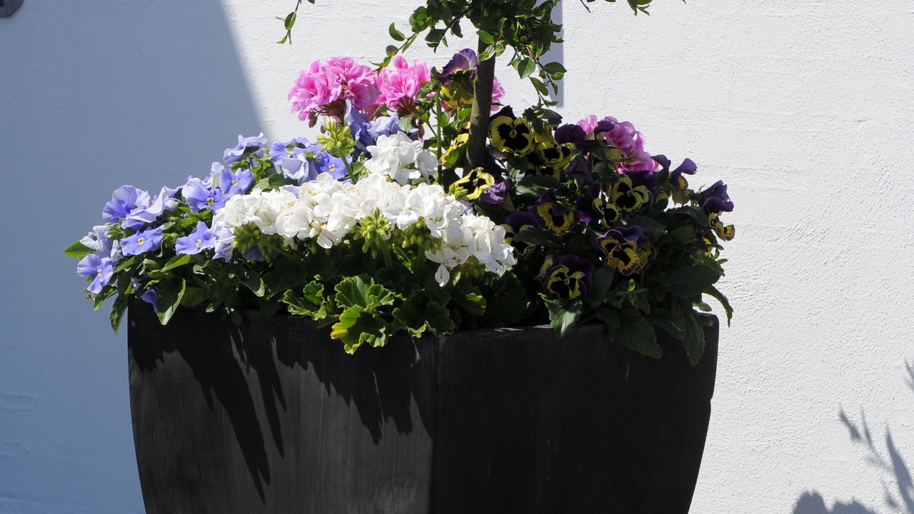 Photo of Patio Balcony in Esbjerg