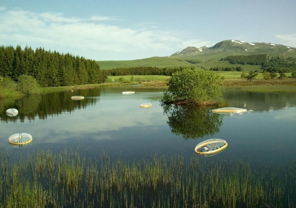 Photo of Outdoor in Picherande