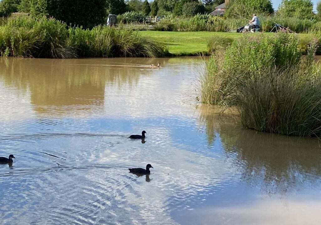 Photo of Outdoor in Winsford